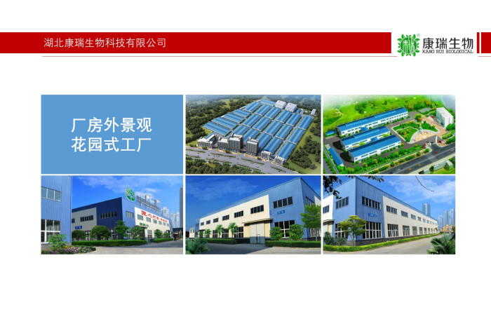 药食同源健康食品代工厂家