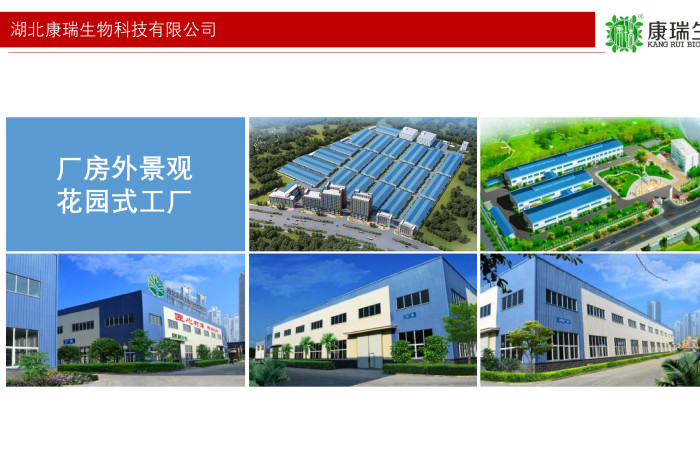 膏滋贴牌不止是“换个包装”！从配方研发到国潮设计，一站式服务让你的品牌脱颖而出