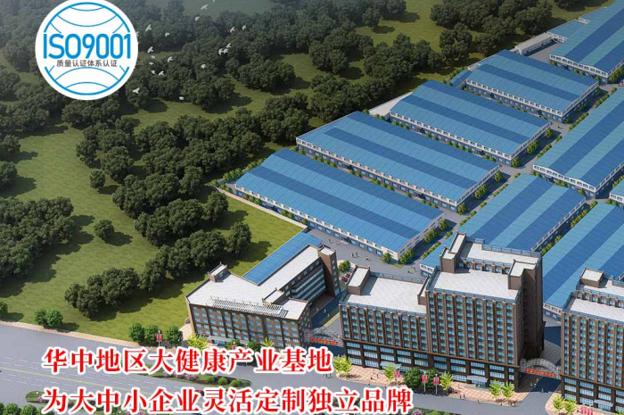湖北膏滋代加工厂家怎么选？这份实力厂家指南请收好